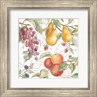 Framed In the Orchard VII