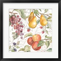 In the Orchard VII Framed Print