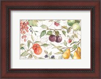 Framed In the Orchard VI