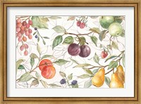 Framed In the Orchard VI