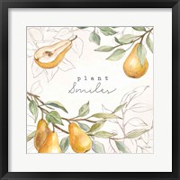 Framed 'In the Orchard III' border=