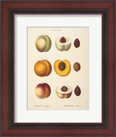 Framed Peaches I