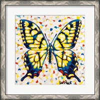 Framed Pop Butterfly I