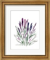 Framed Lavender