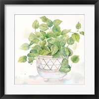 Framed Houseplant I-Philodendron