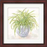 Framed Houseplant II-Spider Plant