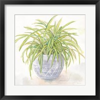 Houseplant II-Spider Plant Framed Print
