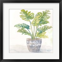 Framed Houseplant III-Split Leaf Philodendron