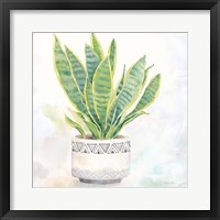Houseplant IV-Snake Plant Framed Print