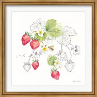 Framed Berries and Bees II