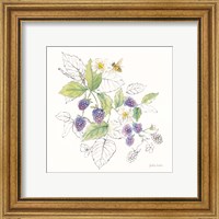 Framed 'Berries and Bees III' border=