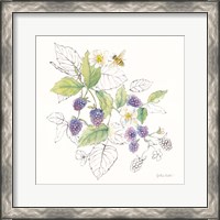 Framed 'Berries and Bees III' border=