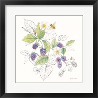 Berries and Bees III Framed Print