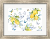 Framed Lemon Sketch Book I