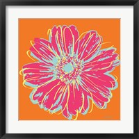 Framed Flower Pop Art III