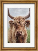 Framed Highland portrait II
