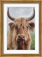 Framed Highland portrait II