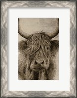 Framed Highland rustic portrait