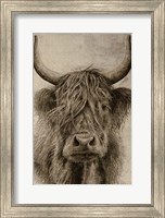Framed Highland rustic portrait