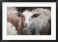Framed Sheep's Flock