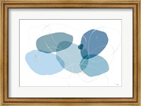 Framed Organic Circles I