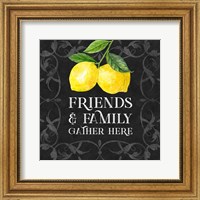 Framed Live with Zest sentiment II-Friends & Family