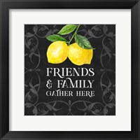 Framed Live with Zest sentiment II-Friends & Family