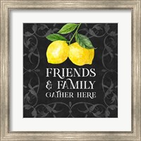 Framed Live with Zest sentiment II-Friends & Family