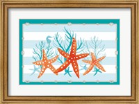 Framed Coral Aqua II on Teal