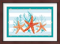 Framed Coral Aqua II on Teal