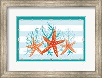 Framed Coral Aqua II on Teal