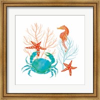 Framed Coral Aqua VII