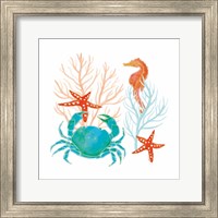 Framed 'Coral Aqua VII' border=