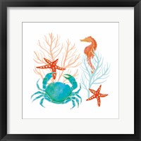 Coral Aqua VII Framed Print