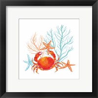 Framed 'Coral Aqua VIII' border=