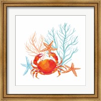 Framed Coral Aqua VIII