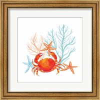 Framed Coral Aqua VIII