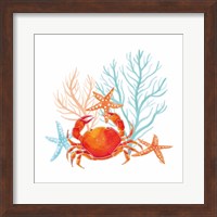 Framed 'Coral Aqua VIII' border=