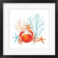 Framed Coral Aqua VIII