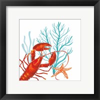 Framed 'Coral Aqua IX' border=