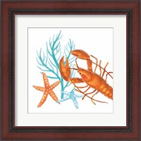 Framed Coral Aqua X