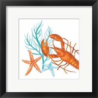 Framed 'Coral Aqua X' border=