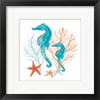 Framed 'Coral Aqua XII' border=