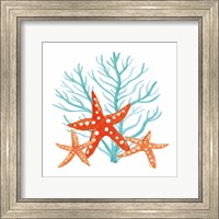 Framed Coral Aqua XIII
