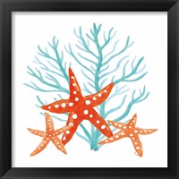 Framed 'Coral Aqua XIII' border=