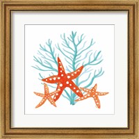 Framed 'Coral Aqua XIII' border=