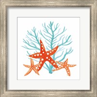 Framed Coral Aqua XIII