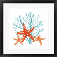 Framed Coral Aqua XIII