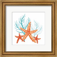 Framed 'Coral Aqua XIV' border=
