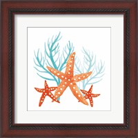Framed Coral Aqua XIV